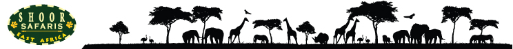 Shoor Safaris :: African Safari and Travel Packages for Kenya & Tanzania