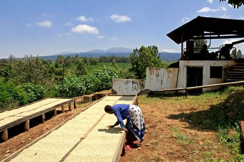 Crater Forest Tented Lodge, Ngorongoro - Pictures