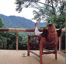 Gorilla Forest Camp,Uganda,  Pictures